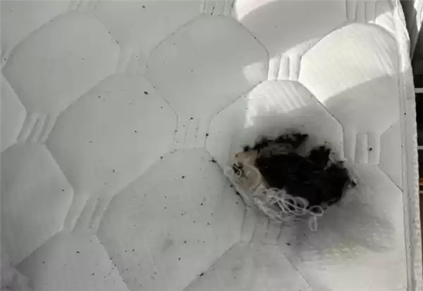 女子睡梦中被充电宝炸醒：床垫被褥部分烧毁