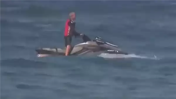 今年第三起!澳大利亚男子冲浪时遭鲨鱼袭击身亡