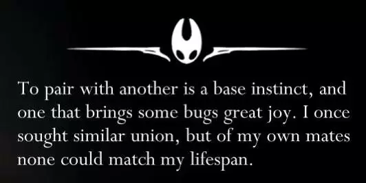 空洞骑士:丝之歌新设定掀热议,主角大黄蜂多伴侣引玩家激烈讨论