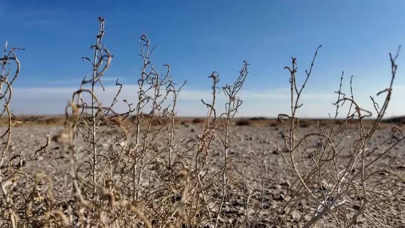 廿载公益路 初心向未来：兄弟（中国）与合作伙伴共建20周年纪念林