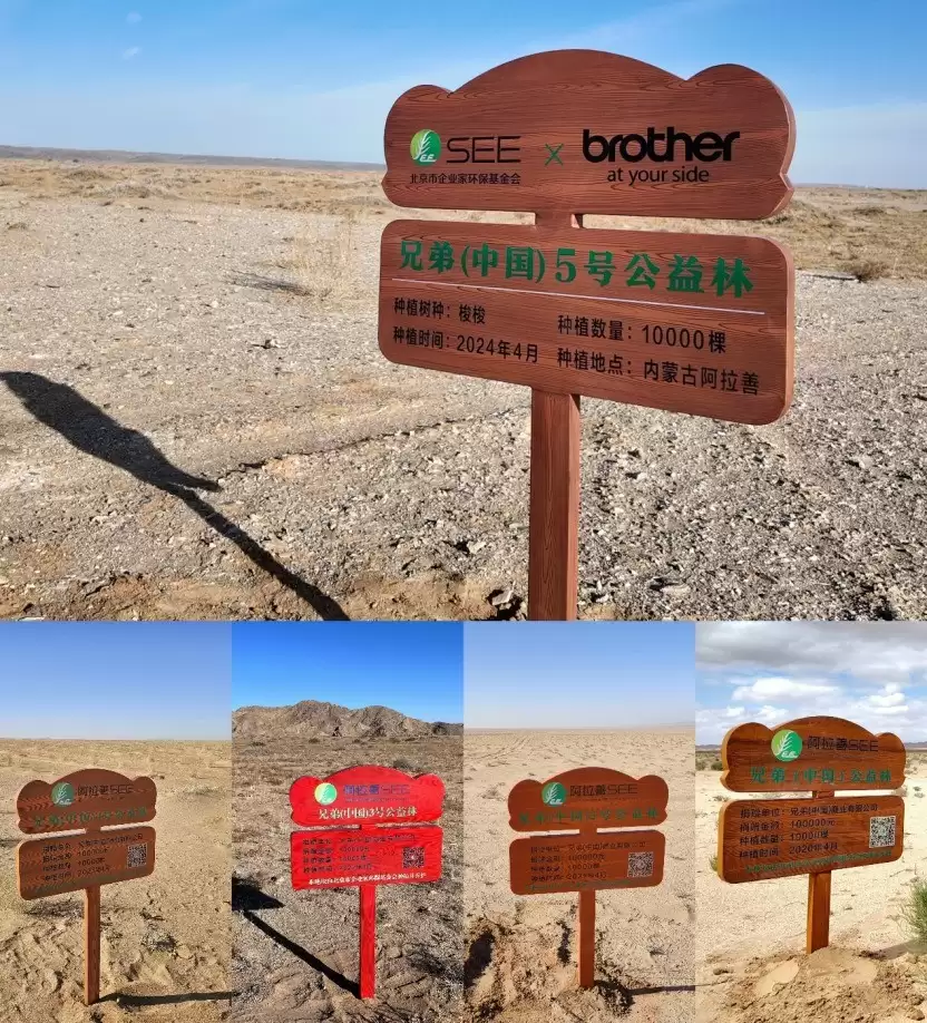廿载公益路 初心向未来：兄弟（中国）与合作伙伴共建20周年纪念林