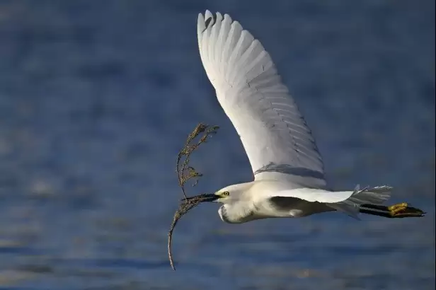 致敬时代记录者，尼康助力新闻工作者捕捉真相