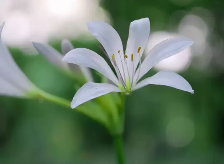 全球首发 20-200mm 超级天涯镜、135mm F1.4 空气切割机,适马发布三款镜头新品
