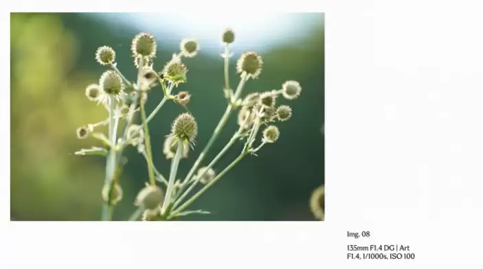 全球首发 20-200mm 超级天涯镜、135mm F1.4 空气切割机,适马发布三款镜头新品