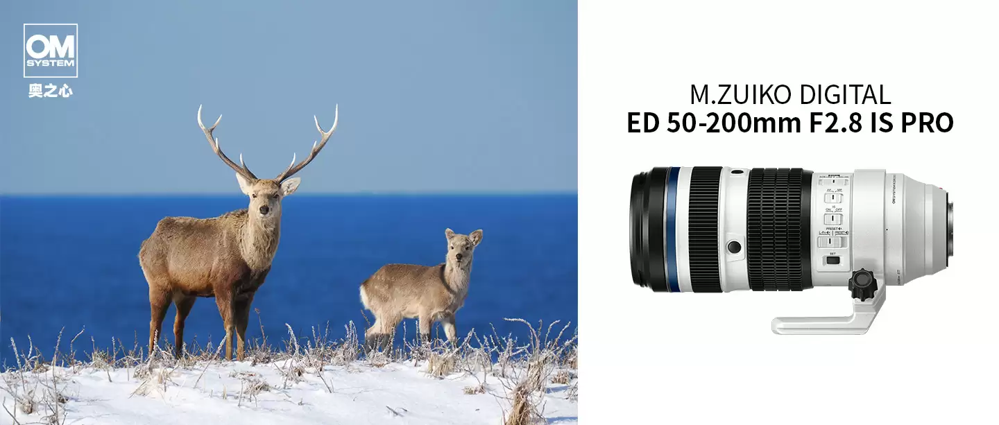 奥之心OM SYSTEM「M.ZUIKO DIGITAL ED 50-200mm F2.8 IS PRO」正式发布