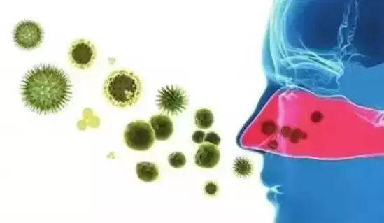 冲上热搜!洗菜后持续高烧 警惕家中真菌 “温床”