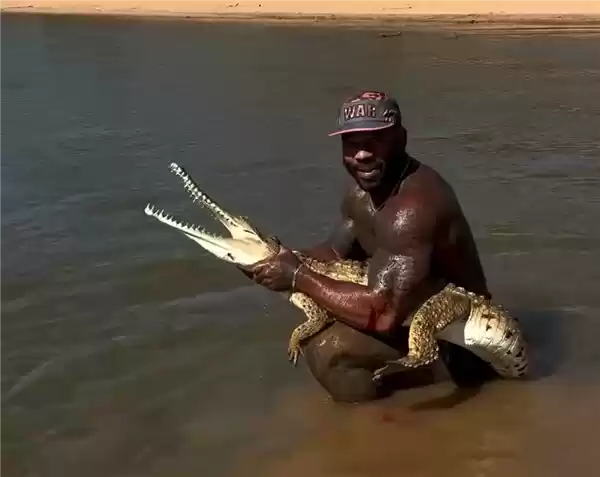 网红徒手抓鳄鱼被痛批“虐待动物”:最多可被罚12.25万元