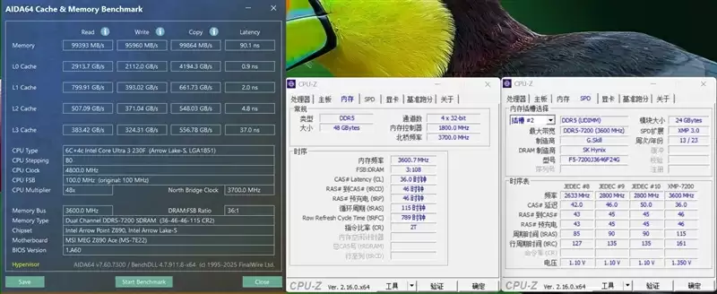 千元神U！酷睿Ultra 5 230F秒杀锐龙5 9600X：能效领先超40％ 游戏性能还更强