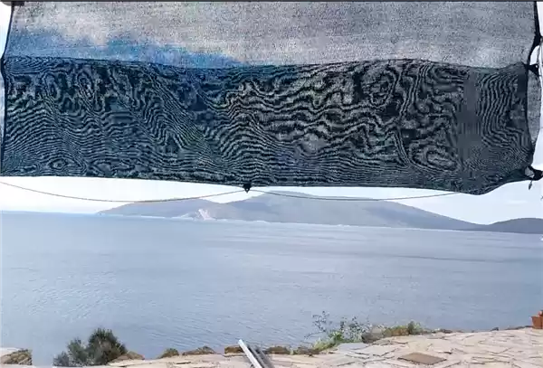 拍照时最讨厌的“摩尔纹” 竟是纸币防伪“黑科技”