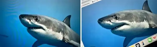 拍照时最讨厌的“摩尔纹” 竟是纸币防伪“黑科技”