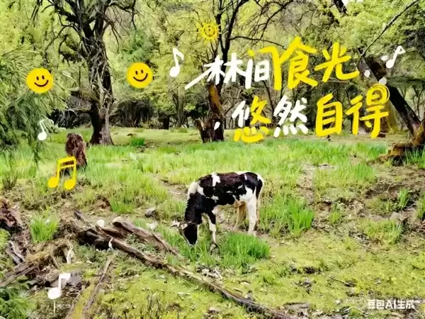 豆包P图大更新 网友们已经玩嗨了！