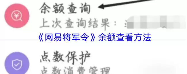 《网易将军令》余额查看方法