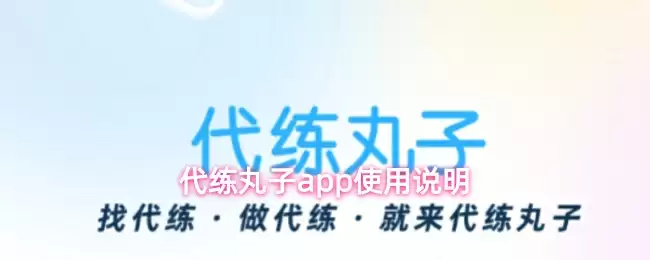 代练丸子app使用说明