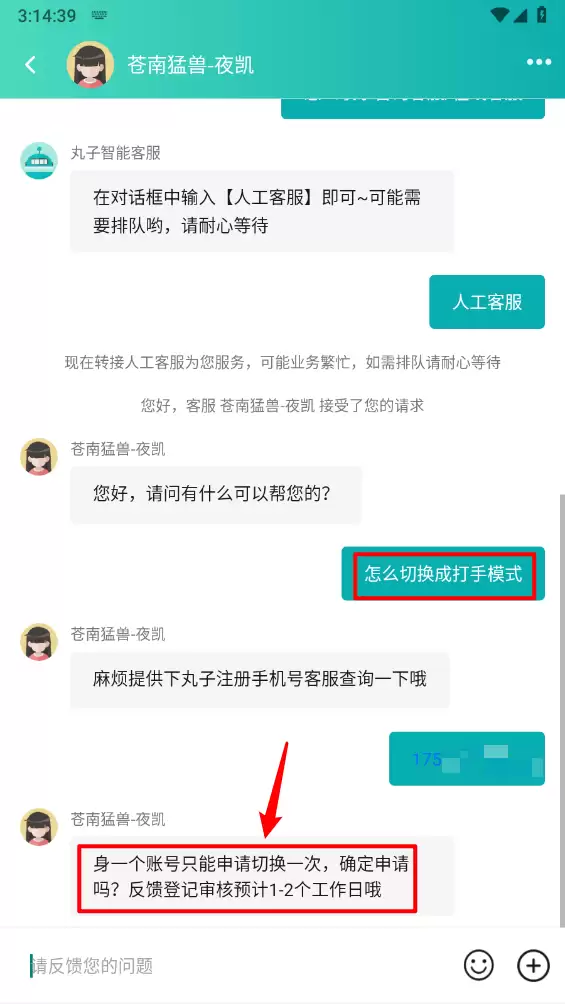 代练丸子打手模式切换方法