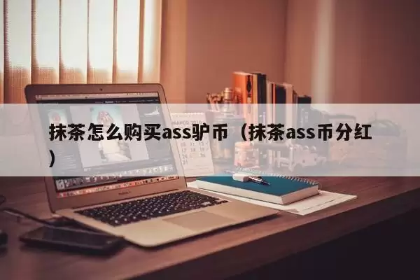抹茶怎么购买ass驴币（抹茶ass币分红）