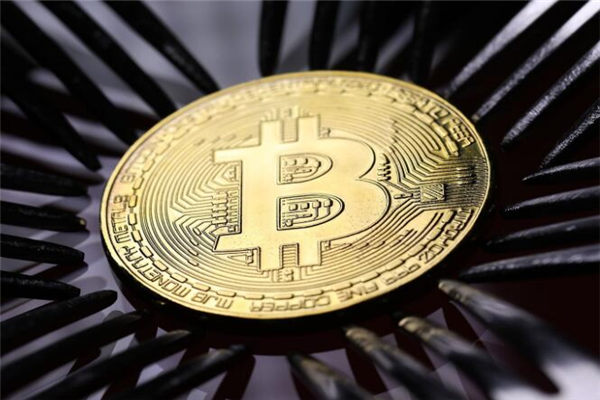 shib币最新利好