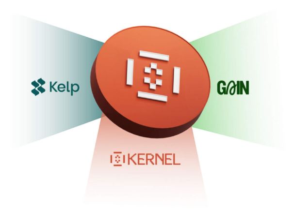 KernelDAO 的核心产品