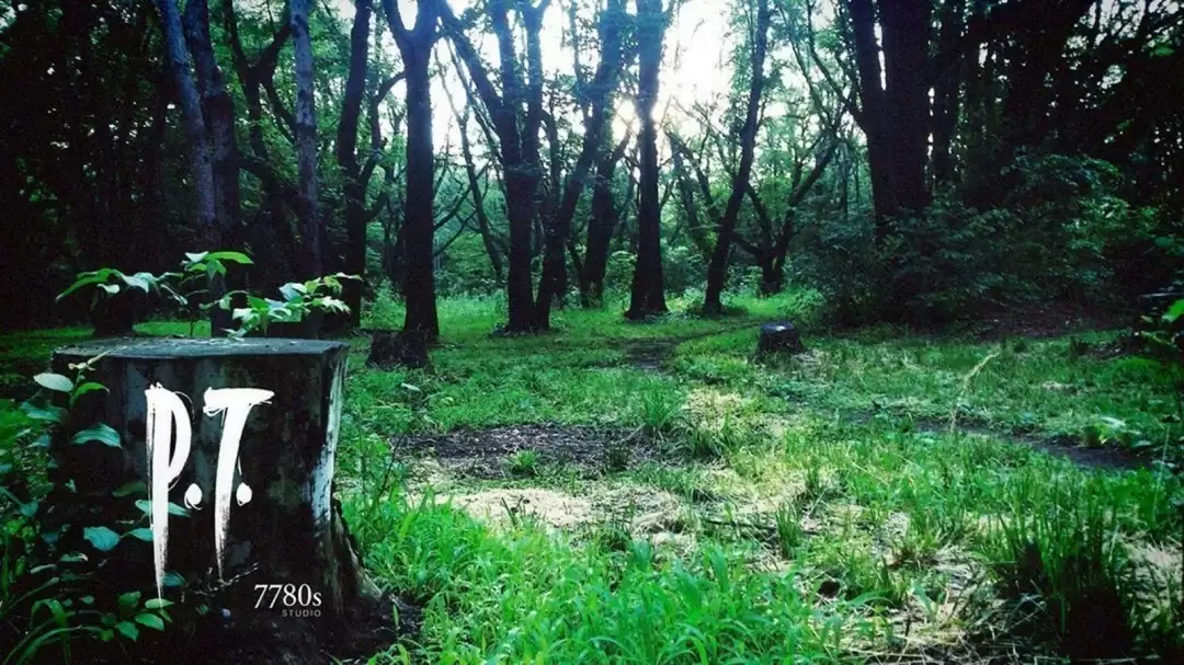 神谷英树谈P.T.遗产与小岛未来恐怖游戏愿景