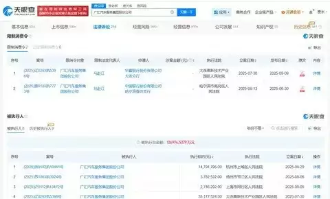 广汇汽车及法定代表人被限制消费，涉金融借款纠纷案