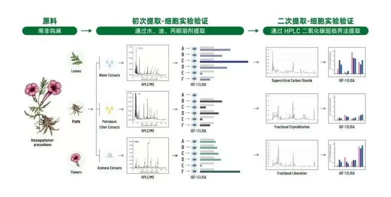 儿童生长领域新势力！阿基孚以创新科技推动儿童身高健康发展