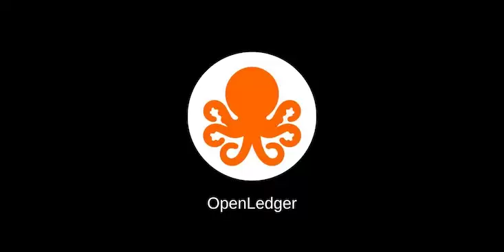 OpenLedger (OPEN)币是什么？OPEN代币如何购买？未来前景如何？ - 菜鸟下载