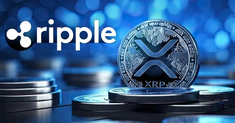 分析师预测，XRP瑞波币有望在2025年底前实现三倍增长，冲击10美元关口 - 菜鸟下载