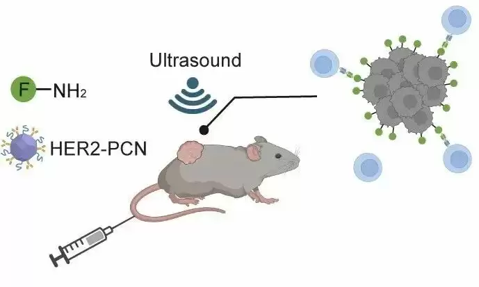 免疫治疗重要突破：我国科研人员开发出可精准识别癌细胞的“纳米标记机器人”