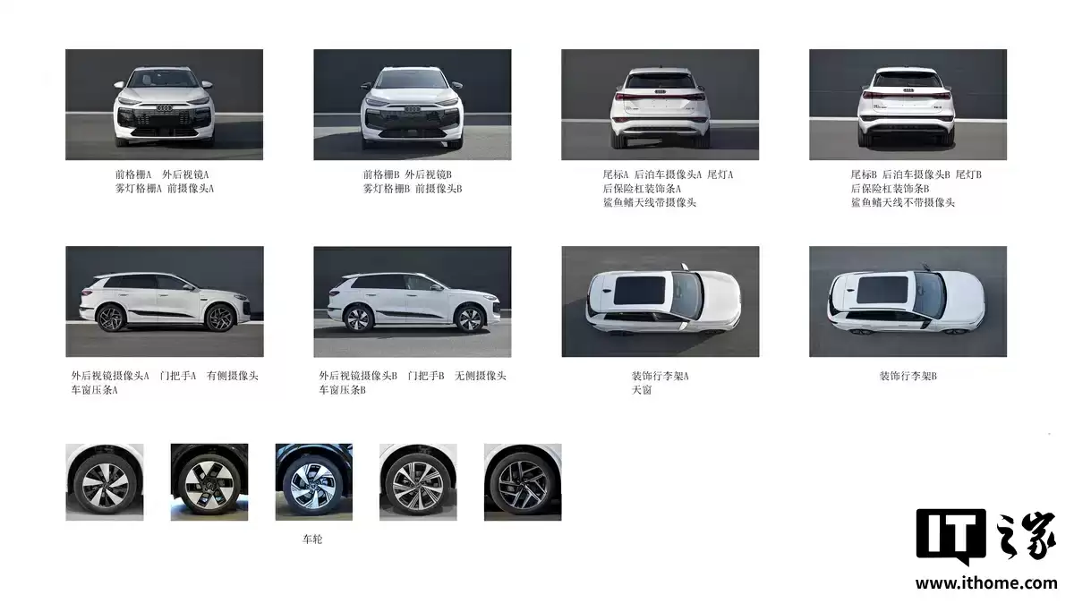 奥迪 Q6L e-tron / Sportback e-tron 双电机四驱版申报