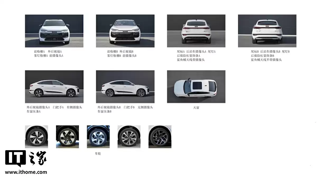 奥迪 Q6L e-tron / Sportback e-tron 双电机四驱版申报