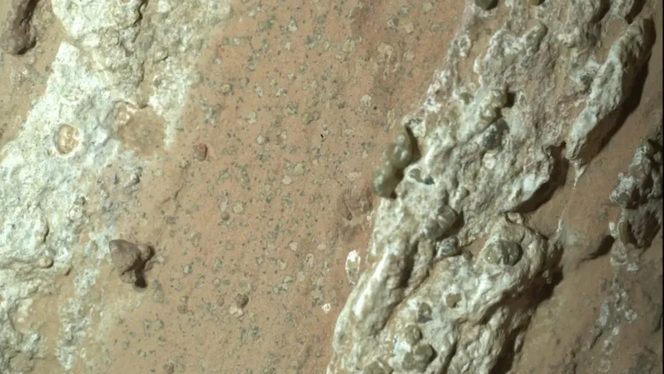 火星曾存在远古生命？NASA“毅力号”发现疑似生物标志物