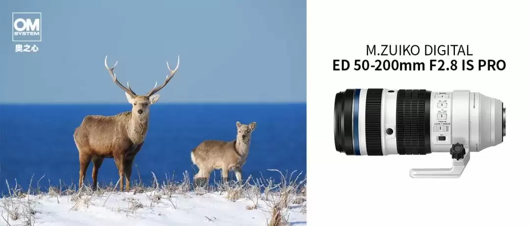 奥之心发布 50-200mm F2.8 IS PRO 变焦镜头,仅重 1075g