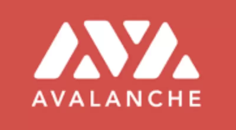 国际虚拟币市值排行榜2025 国际虚拟币市值前十名盘点 - 菜鸟下载