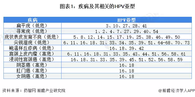 图表1：疾病及其相关的HPV亚型