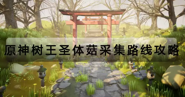 原神树王圣体菇采集路线攻略