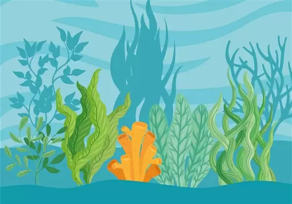 男子背着钓到的79斤鳡鱼在闹市穿行 网友：显然包