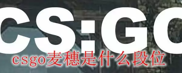 csgo麦穗是什么段位