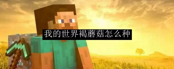 我的世界褐蘑菇怎么种