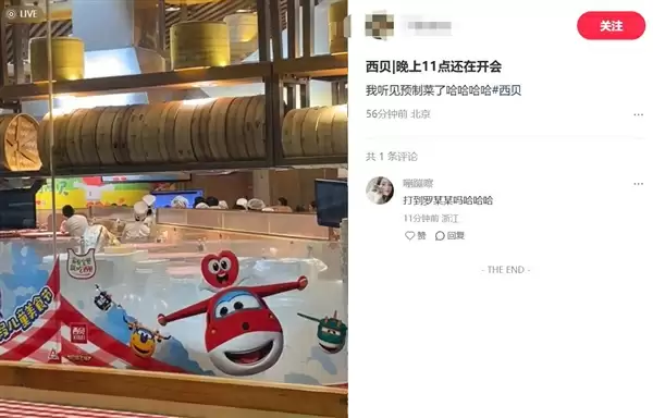 罗永浩直播谈预制菜：今天几乎没人骂我 我不习惯 你们骂骂我吧