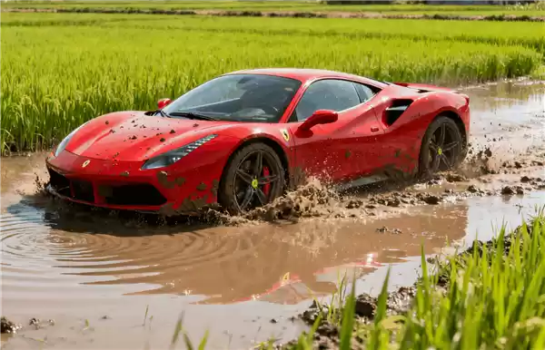 男子故意将法拉利驶入水田骗保99.8万元 结果被识破三人判刑