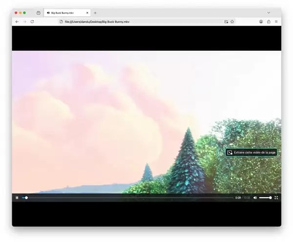用户8年前就提出的请求：火狐Firefox终于支持MKV视频播放！