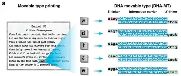 给DNA装“活字” 我国自主研发“毕昇一号”实现存储技术跨越