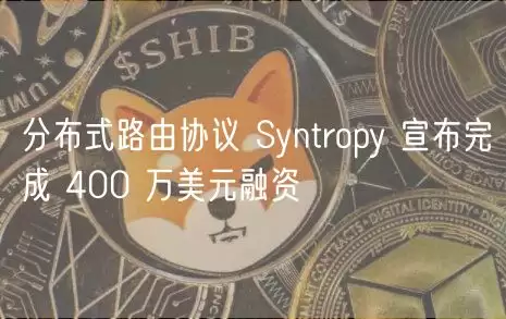 分布式路由协议 Syntropy 宣布完成 400 万美元融资-第1张图片-本站