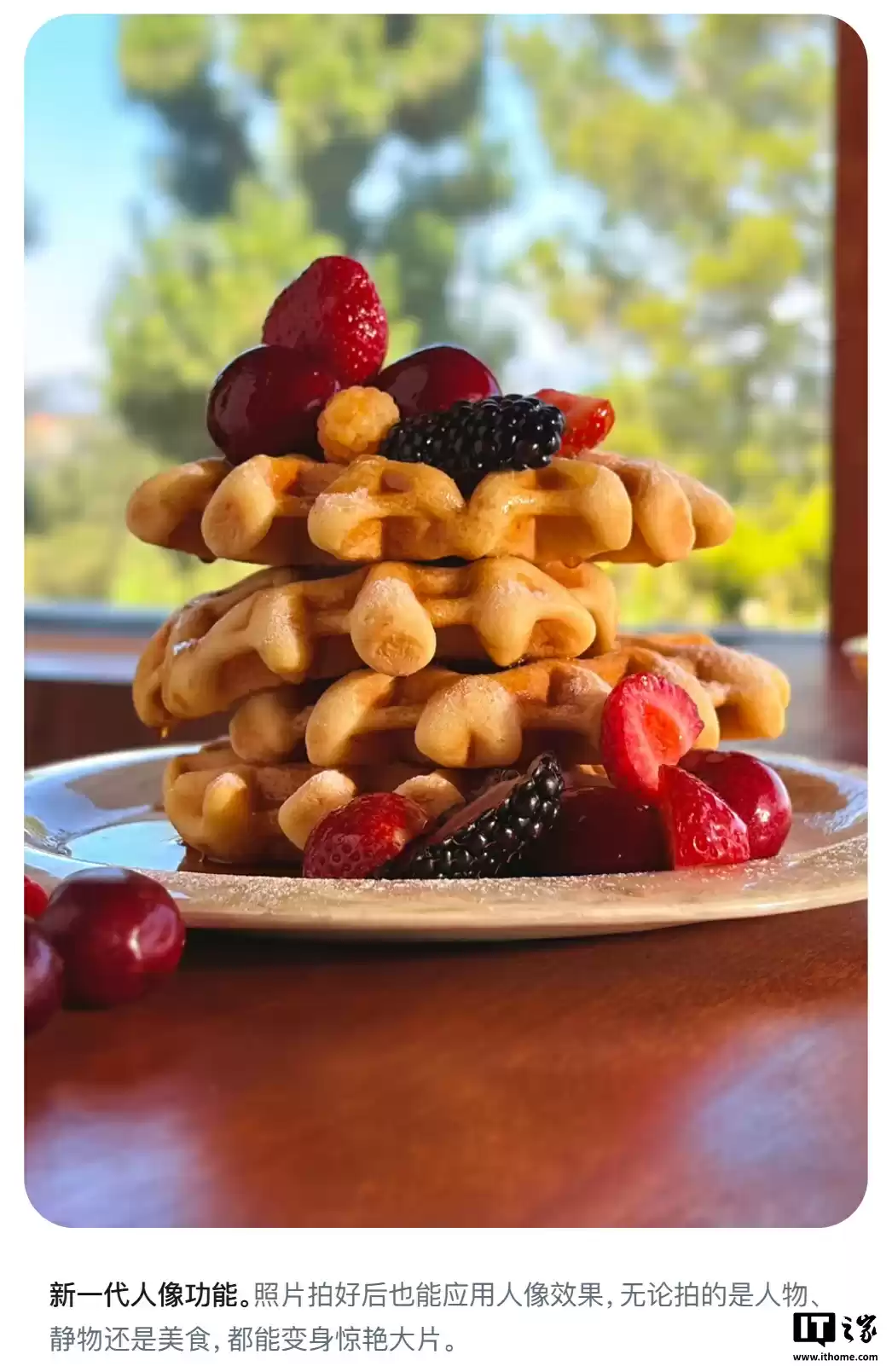 苹果首款：iPhone Air 单摄也能用人像模式拍美食、植物等