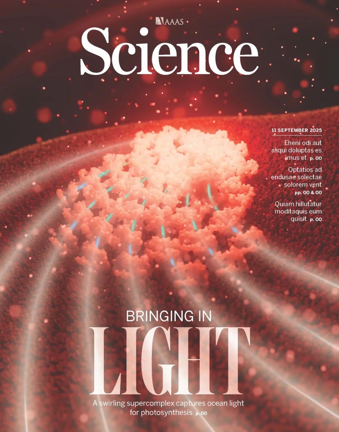 登上 Science 封面：我国科学家首次揭开颗石藻高效捕获光能奥秘，有望设计出新型光合作用蛋白