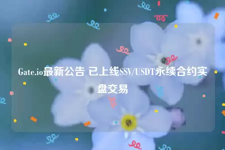 Gate.io最新公告 已上线SSV/USDT永续合约实盘交易-第1张图片-币安下载