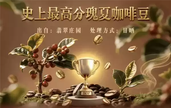 每杯成本就5000元 全球最贵之一咖啡豆运抵国内 几乎免费送