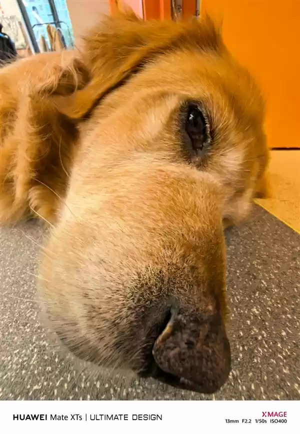 别人挤牙膏可能被骂 但三折叠情有可原