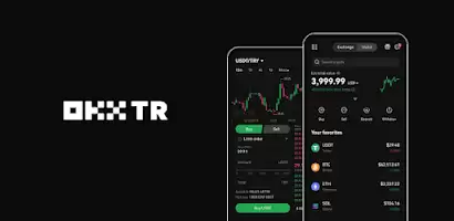 欧意官网交易所(569)