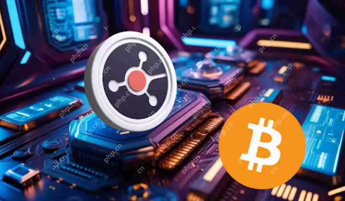 比特币(BTC)仍然是国王,但是像鲁维这样的新竞争者正在出现