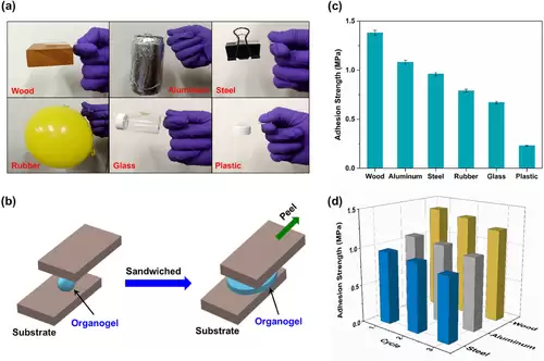 科学家研发出会变色的自修复凝胶，可拉伸 46 倍